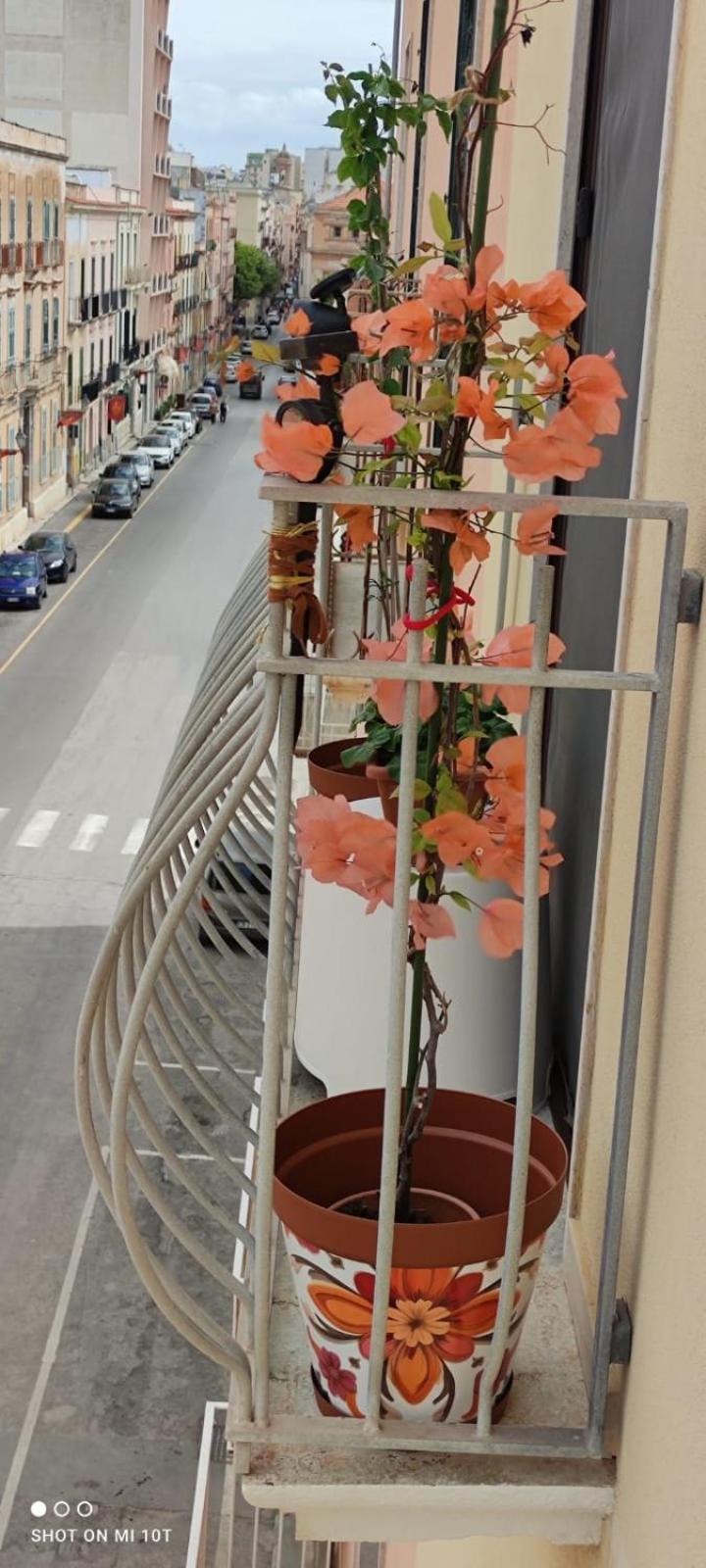 Elisir - Apartment Trapani Buitenkant foto